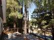 16195 BOTTLE ROCK ROAD COBB, CA 95426