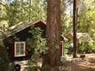 16195 BOTTLE ROCK ROAD COBB, CA 95426