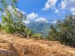 9183 FOX DRIVE COBB, CA 95426