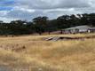 23403 MORGAN VALLEY ROAD LOWER LAKE, CA 95457