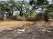 23403 MORGAN VALLEY ROAD LOWER LAKE, CA 95457