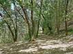 19665 OAT HILL ROAD MIDDLETOWN, CA 95461