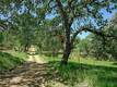 19665 OAT HILL ROAD MIDDLETOWN, CA 95461