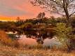 15796 JOSEPH TRAIL LOWER LAKE, CA 95457
