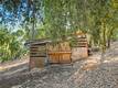 13028 RIATA ROAD LOWER LAKE, CA 95457