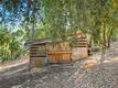 13028 RIATA ROAD LOWER LAKE, CA 95457