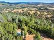 13028 RIATA ROAD LOWER LAKE, CA 95457