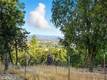13028 RIATA ROAD LOWER LAKE, CA 95457