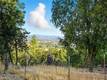 13028 RIATA ROAD LOWER LAKE, CA 95457