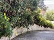 7061 FAIRVIEW DRIVE KELSEYVILLE, CA 95451