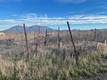 3035 SODA BAY ROAD LAKEPORT, CA 95453