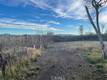 3035 SODA BAY ROAD LAKEPORT, CA 95453