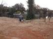 16355 DAM ROAD CLEARLAKE, CA 95422