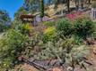 12140 E HIGHWAY 20 CLEARLAKE OAKS, CA 95423