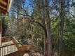 16211 GOLF COBB, CA 95426