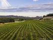 7875 ADOBE CREEK ROAD KELSEYVILLE, CA 95451