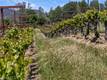 7875 ADOBE CREEK ROAD KELSEYVILLE, CA 95451