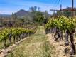 7875 ADOBE CREEK ROAD KELSEYVILLE, CA 95451
