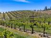 7875 ADOBE CREEK ROAD KELSEYVILLE, CA 95451