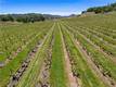 7875 ADOBE CREEK ROAD KELSEYVILLE, CA 95451