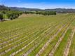 7875 ADOBE CREEK ROAD KELSEYVILLE, CA 95451