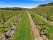 7875 ADOBE CREEK ROAD KELSEYVILLE, CA 95451