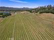 7875 ADOBE CREEK ROAD KELSEYVILLE, CA 95451