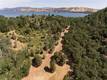 13449 ANDERSON ROAD LOWER LAKE, CA 95457