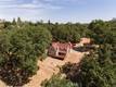 13449 ANDERSON ROAD LOWER LAKE, CA 95457