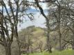7004 E. HWY 20 LUCERNE, CA 95458