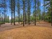 8863 FOX DRIVE COBB, CA 95426