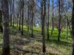 1001 LOUIS WAY LAKEPORT, CA 95453