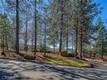 9183 FOX COBB, CA 95426