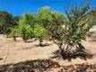 3950 EMILE AVENUE CLEARLAKE, CA 95422