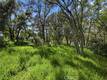 15560 20TH AVENUE CLEARLAKE, CA 95422
