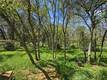 15560 20TH AVENUE CLEARLAKE, CA 95422