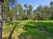 15560 20TH AVENUE CLEARLAKE, CA 95422