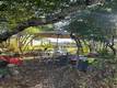 9786 PINON WAY KELSEYVILLE, CA 95451