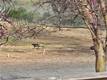 18683 MORGAN VALLEY ROAD LOWER LAKE, CA 95457