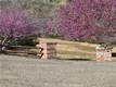 18683 MORGAN VALLEY ROAD LOWER LAKE, CA 95457