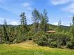 8155 SULPHUR CREEK RD LOCH LOMOND, CA 95461