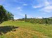 8155 SULPHUR CREEK RD LOCH LOMOND, CA 95461