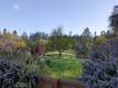 2002 OGULIN CANYON CLEARLAKE, CA 95422