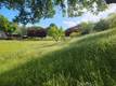 2002 OGULIN CANYON CLEARLAKE, CA 95422