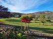 2002 OGULIN CANYON CLEARLAKE, CA 95422