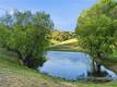 26200 MORGAN VALLEY LOWER LAKE, CA 95457