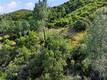 26200 MORGAN VALLEY LOWER LAKE, CA 95457