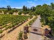 6675 KELSEY CREEK DRIVE KELSEYVILLE, CA 95451