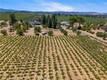 6675 KELSEY CREEK DRIVE KELSEYVILLE, CA 95451