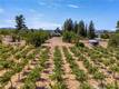 6675 KELSEY CREEK DRIVE KELSEYVILLE, CA 95451